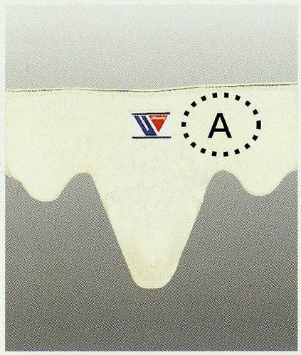 ウイニング｜カッププロテクター スタンダード – ボクシング・格闘技