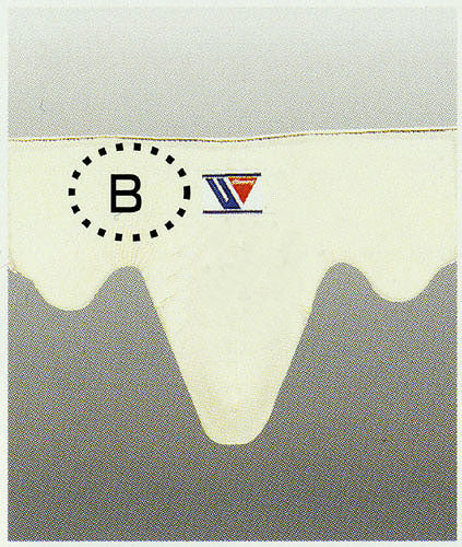 受注生産品/納期約1年2か月) ウイニング カッププロテクター